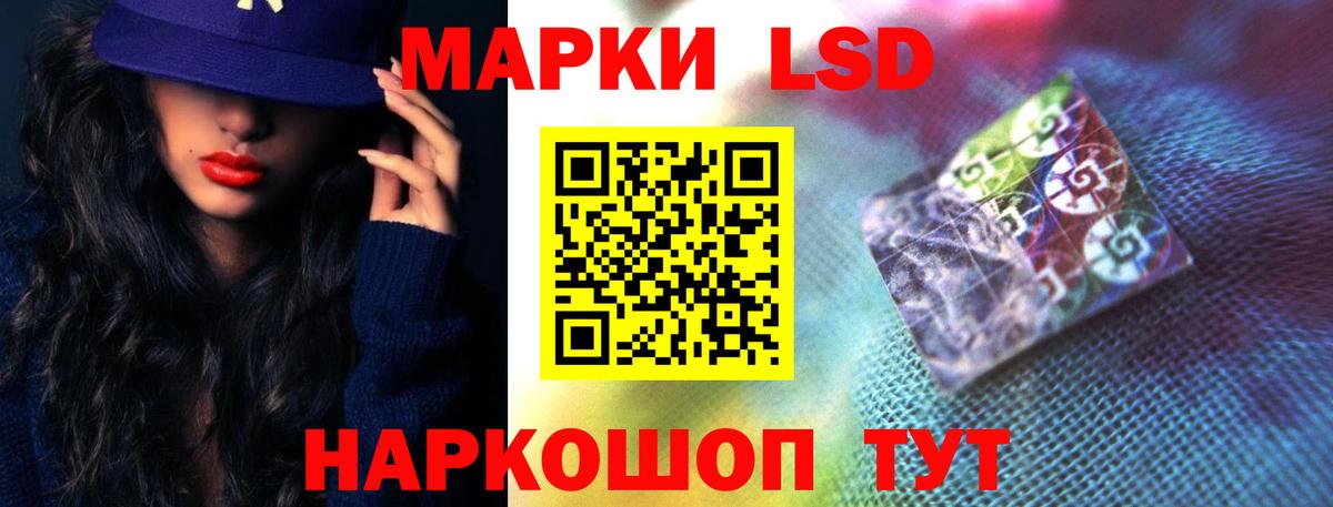 Курчатов  LSD-25 экстази  Вход с VPN  LSD-25 экстази кислота 