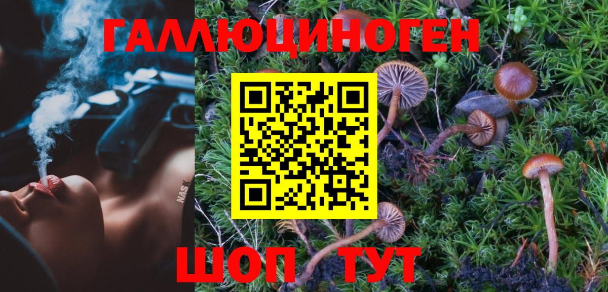 Псилоцибиновые грибы ЛСД  Галлюциногенные грибы Psilocybine cubensis  Курчатов  Вход с VPN 